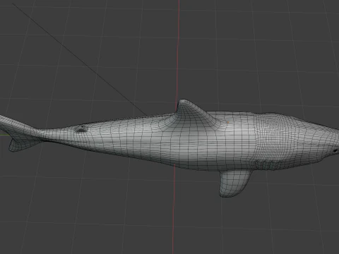 Shark v1 Blend-Obj-Fbx-Dae-Glb 3D Model