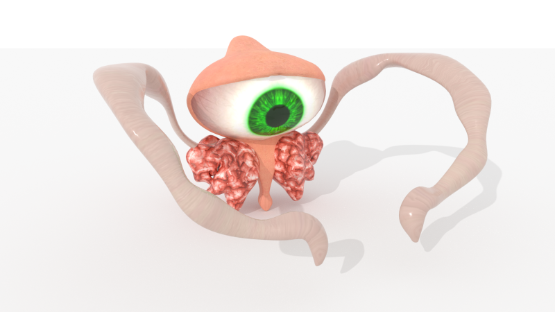 Evil Eye Monster BLEND-OBJ-FBX-DAE-GLB Model 3D .c4d .max .obj .3ds .fbx .stl .blend 