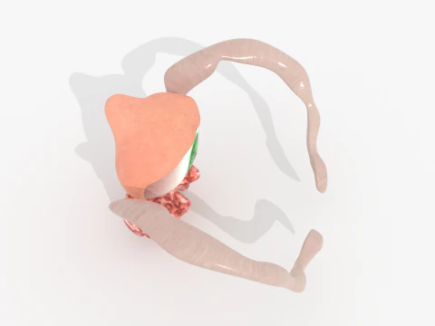 Evil Eye Monster BLEND-OBJ-FBX-DAE-GLB 3D Model