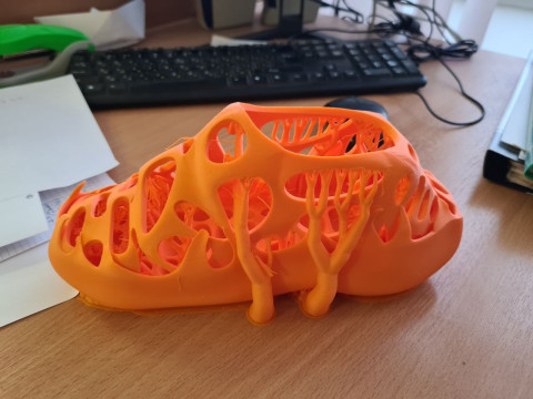 Trainers Model 3D