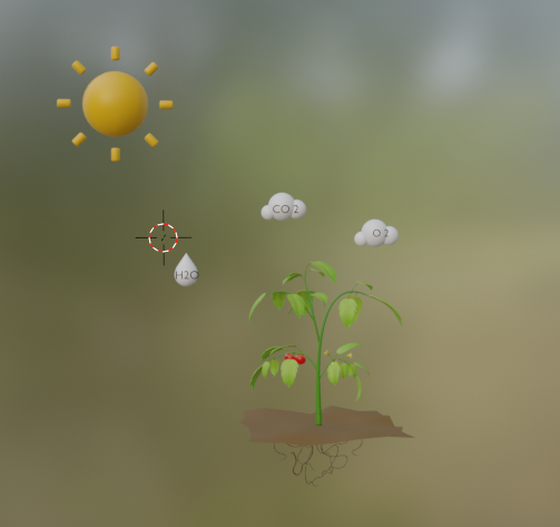 Photosynthesis 3D Model .c4d .max .obj .3ds .fbx .stl .blend
