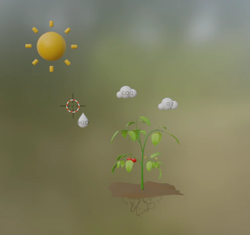Photosynthesis 3D Model .c4d .max .obj .3ds .fbx .stl .blend 
