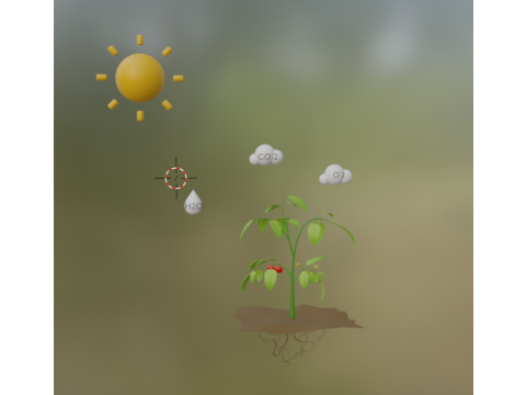 Photosynthesis 3D मॉडल