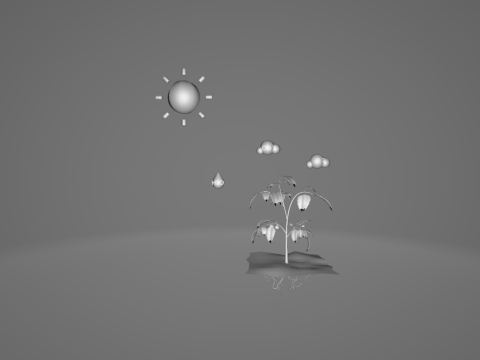 Photosynthesis 3D Model
