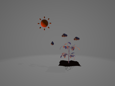 Photosynthesis 3D Model