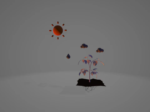 Photosynthesis 3D Model