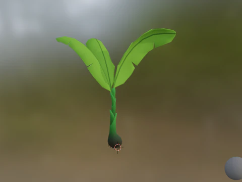 Muz Ağacı 3D Model