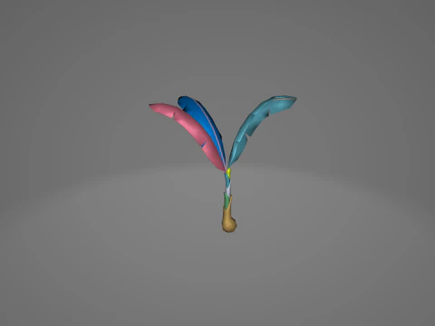 Banana Tree 3D Model