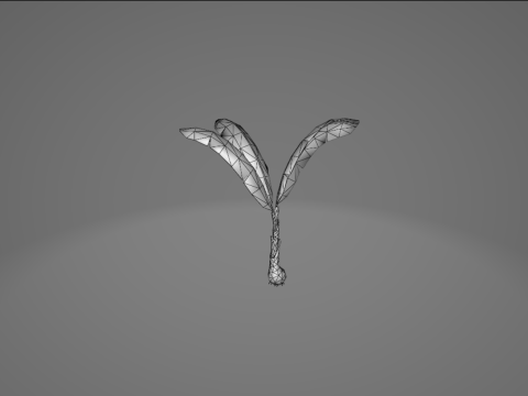 Banana Tree 3D Model