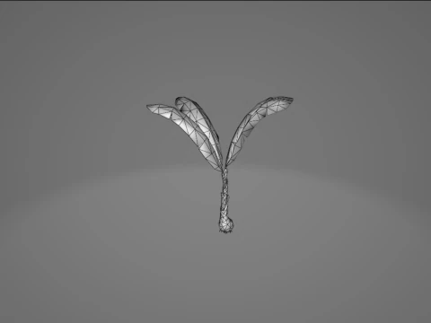 Banana Tree 3D Model