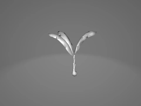 Banana Tree 3D Model