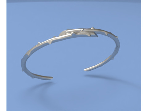 Bracelet branch with thorns 3D Print Model