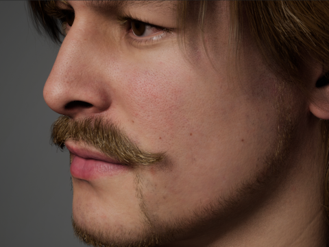 Human Model 3D