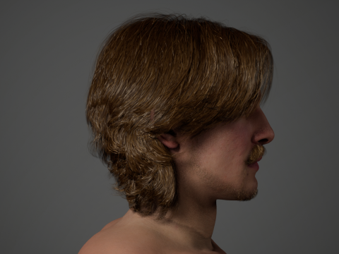 Human Model 3D