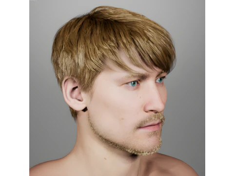 Human 3D Model