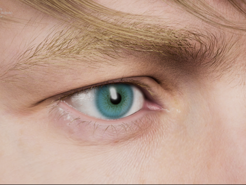 Human 3D Model