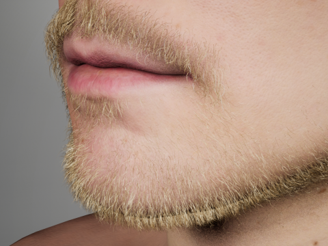 Human 3D Model