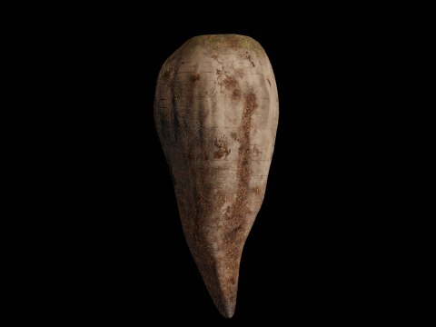 Sugar Beet High Quality 4K 3D-Modell