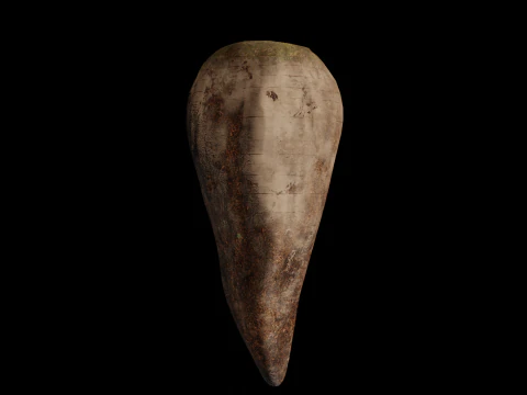 Sugar Beet High Quality 4K 3D Model