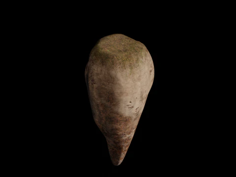 Sugar Beet High Quality 4K 3D Model
