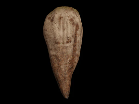 Sugar Beet High Quality 4K 3D Model