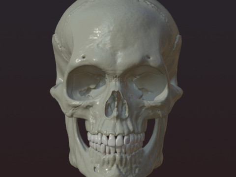 Skull 3D Принт Модель