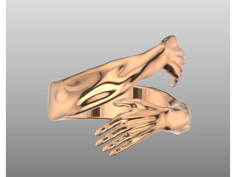 Hand ring model 3D Print Model