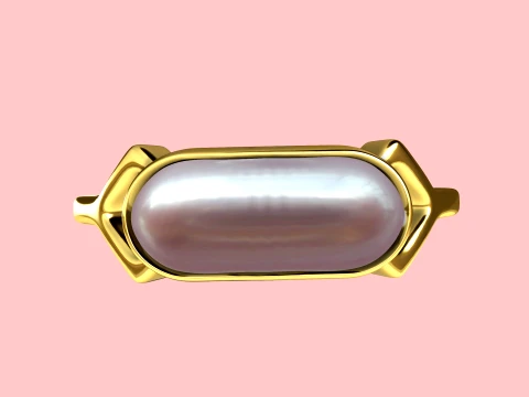 Zyvon Ring 3D Print Model