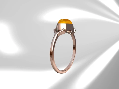 Zyvon Ring 3D Print Model