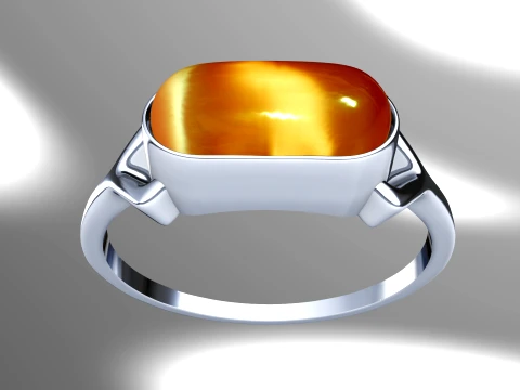 Zyvon Ring 3D Print Model