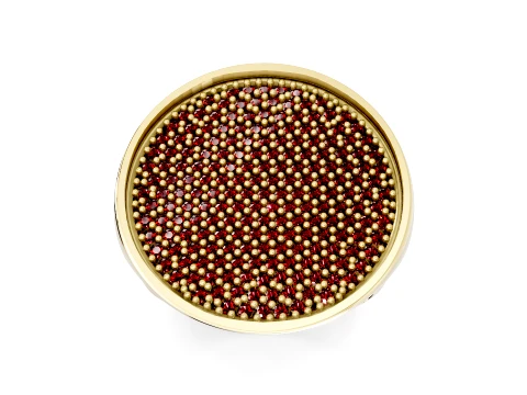 Pave Luxe Ring 3D Model