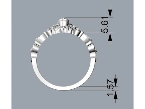 Lion ring 3D Print Model