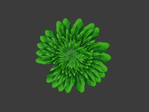 Palm tree 3D Model