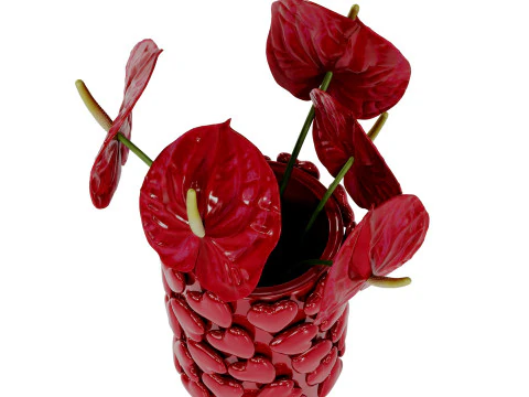 Bouquet of red anthurium in a red clay vase 3D Model