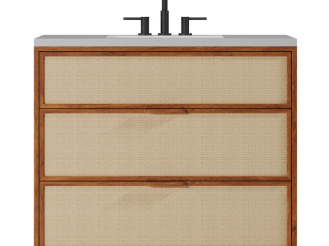 Douglas Single Bathroom Vanity by West Elm Modèle 3D