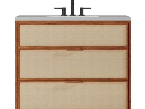 Tocador de ba&ntilde;o individual Douglas de West Elm Modelo 3D