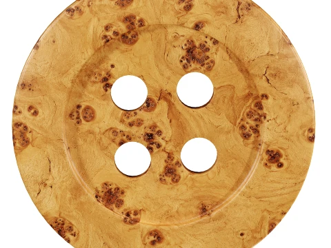 Emma Chamberlain Burled Button Wall Art by West Elm 3D Model