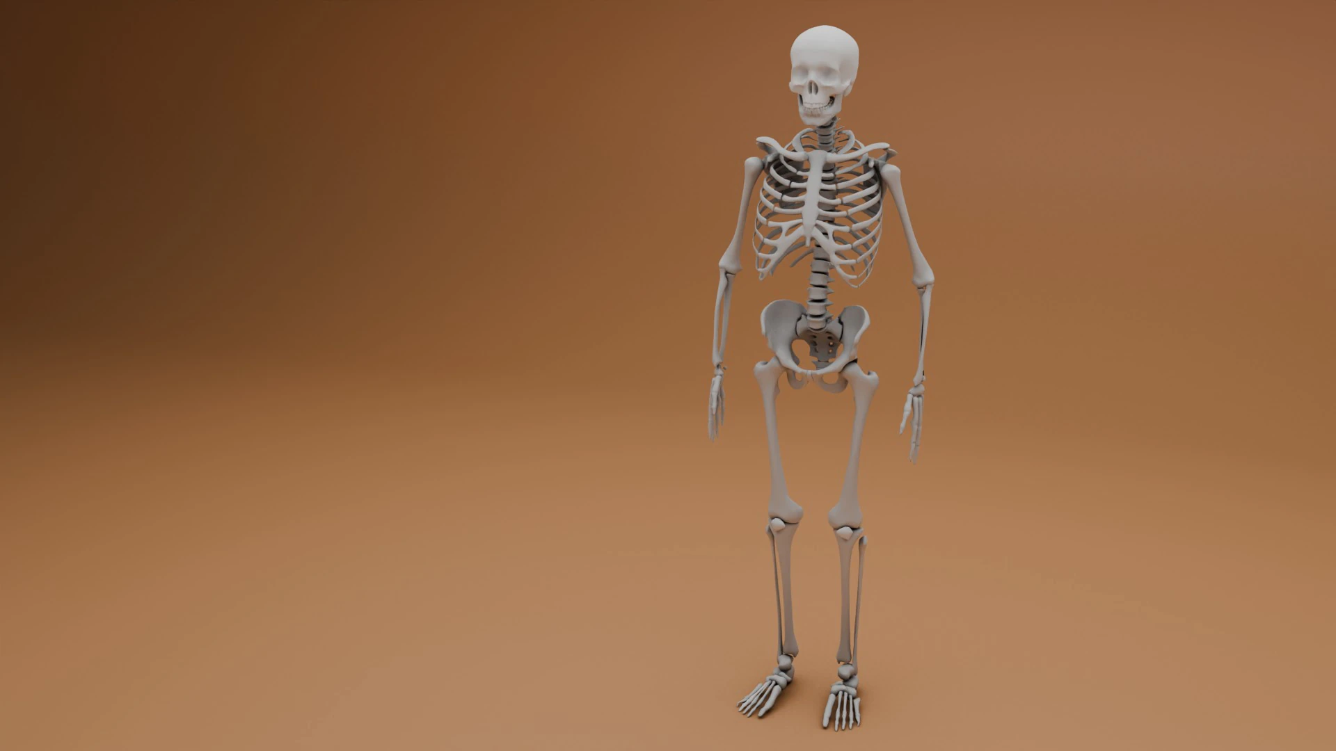 Scheletro 3D semplice Modello 3D .c4d .max .obj .3ds .fbx .stl .blend 