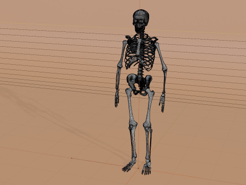 Simple 3D skeleton 3D Model