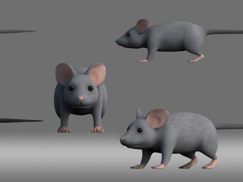 Cartoon mouse 3D Model