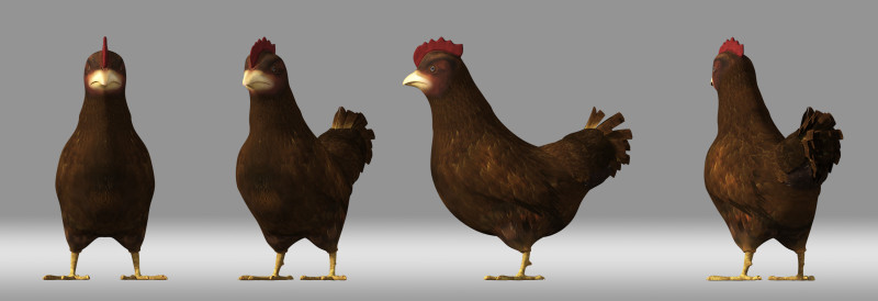Chicken hen 3D 모델 .c4d .max .obj .3ds .fbx .stl .blend 