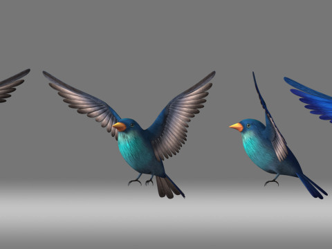 Cartoon bird 3D Model