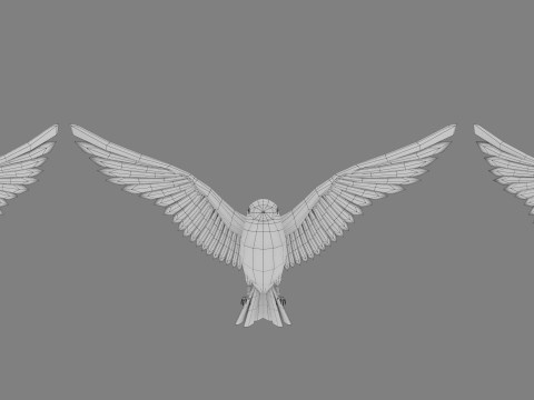 Cartoon bird 3D Model