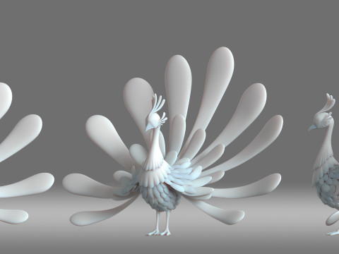 Cartoon peacock 3D-Modell