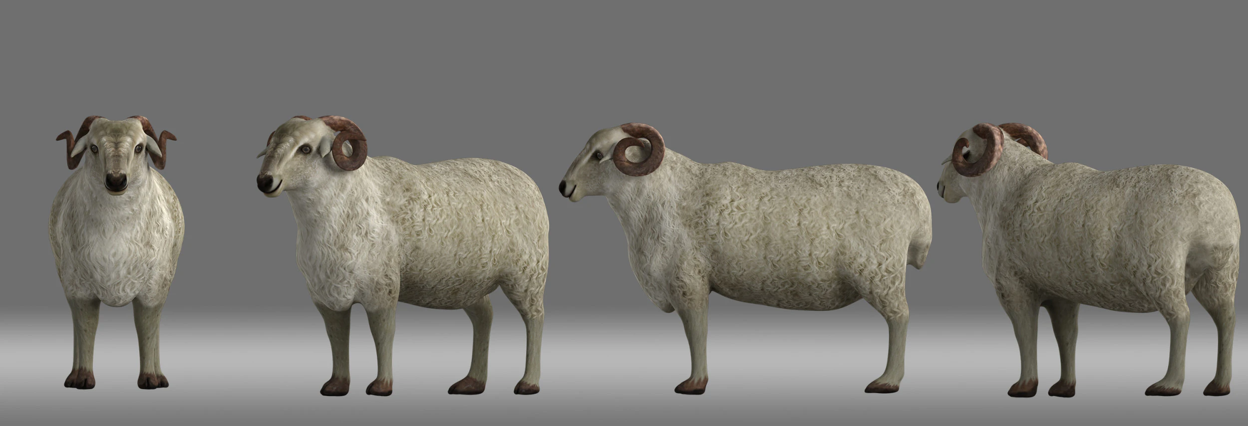 Sheep 3D Model .c4d .max .obj .3ds .fbx .stl .blend