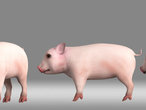 Kreskówka świnia świnka Model 3D