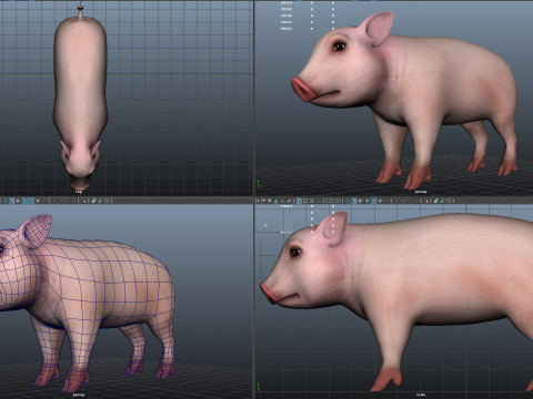 Cartoon pig piggy 3D Model
