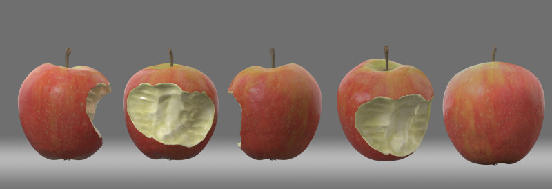 Apple ApplebittenOne 3D Model .c4d .max .obj .3ds .fbx .stl .blend 