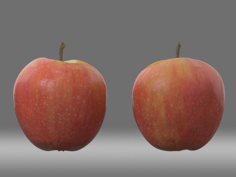 Apple ApplebittenOne 3D Model