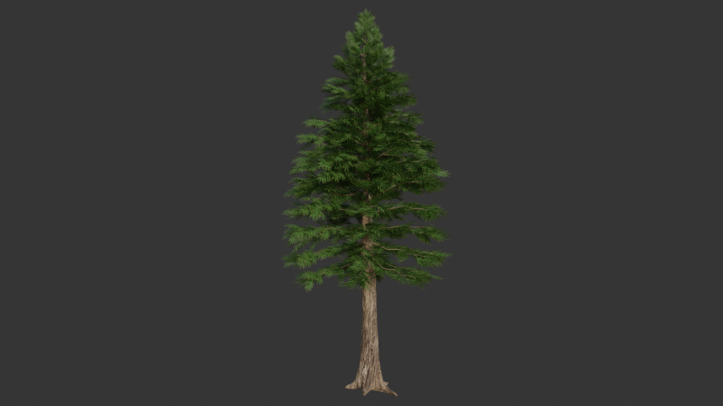 Cartoon cedar pine 3D 模型 .c4d .max .obj .3ds .fbx .stl .blend